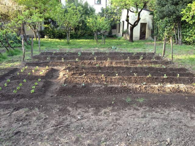 Il Giardino Segreto *